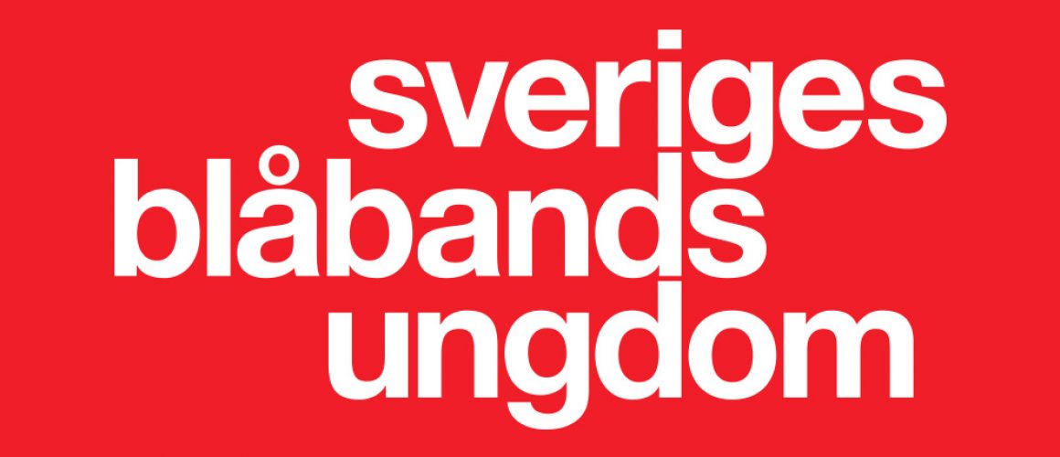 Sveriges Blåbandsungdom söker verksamhetschef!
