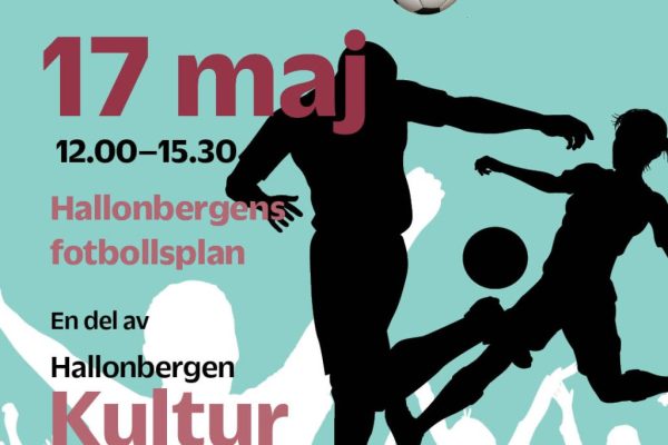 Hallonbollen 1080x1080 px