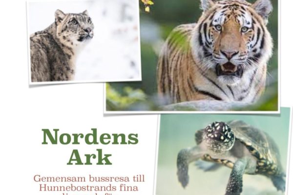 WhatsApp Image 2025-06-09 at 17.59.07