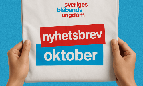 ChatGPT Image 8 okt. 2025 13_58_07