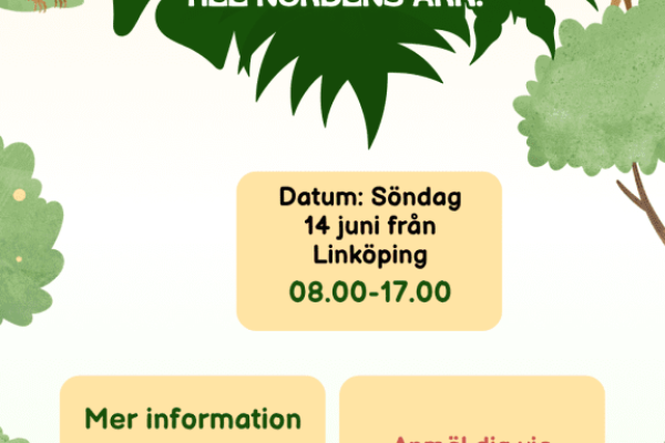 Green and Cream Illustrative Animals Show Schedule Instagram Story